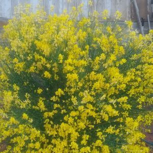 Meet your Posher, Coolidge